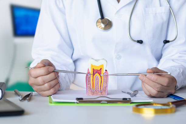 Best Emergency Wisdom Teeth Removal in Mascotte, FL